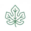 Fig leaf icon